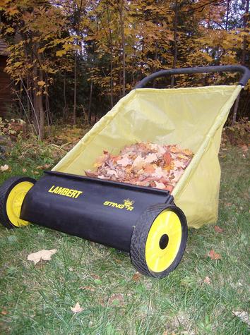 Lambert Stinger Leaf Sweeper