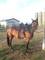 Click to view classifieds YQZLKUBV