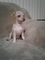Click to view classifieds EYPKNHOQ