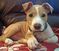 Click to view classifieds RVWJMEPT