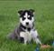 Click to view classifieds WSDXANRU
