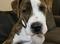 Click to view classifieds WXTVPOCQ