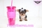 Click to view classifieds GZKCQZFB