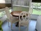 Click to view classifieds JUJEOKTH