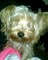 Click to view classifieds LEWPXTLW