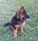 Click to view classifieds EPOOHHVZ