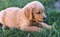 Click to view classifieds DBNJXOBK