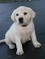 Click to view classifieds BTUPUVQL