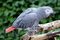 Click to view classifieds TSSRQPZO