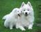 Click to view classifieds BUHXBUGY