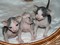 Click to view classifieds DLMRTQQP