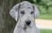 Click to view classifieds JXHSQDHF