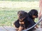 Click to view classifieds CYPRZUVT