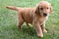 Click to view classifieds NHZNHRBE