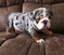 Click to view classifieds JKZEEEOD