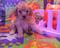 Click to view classifieds GJNOMEEK