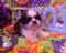 Click to view classifieds OTYHPFNJ