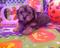 Click to view classifieds QVTXTFHK