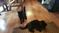 Click to view classifieds YBVVBGDR