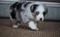 Click to view classifieds SALVWZMN