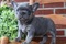 Click to view classifieds UUMGLLOV