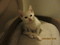 Click to view classifieds DHVZLCFK