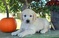 Click to view classifieds OHUJFHSO