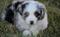 Click to view classifieds HDQNZPVU