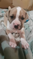 Click to view classifieds OTLYAASV