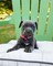 Click to view classifieds JMFMVZZE