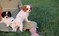 Click to view classifieds UEPLBKPP