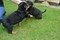 Click to view classifieds VRDWDMRQ