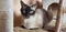 Click to view classifieds SUBWCNSY