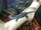 Click to view classifieds PVHEHCLK