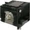 Click to view classifieds RBLKKWED