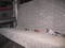Click to view classifieds LAAOAPPU