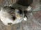 Click to view classifieds UBMPGDFR