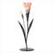 Click to view classifieds DKHQXJDS