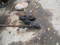 Click to view classifieds NPOQFZXE