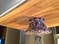 Click to view classifieds DDPBGBEF