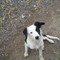Click to view classifieds FRROXKUB