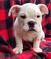 Click to view classifieds XNXYZNRH