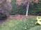 Click to view classifieds OOHMCFLG