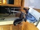 Click to view classifieds KRDRDRUO