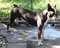Click to view classifieds WCGTCJOS