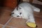 Click to view classifieds GEQHKCQL