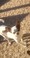 Click to view classifieds KFKQZRPF