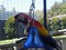 Click to view classifieds LAWXMHGL