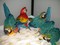 Click to view classifieds FGDHUPRV