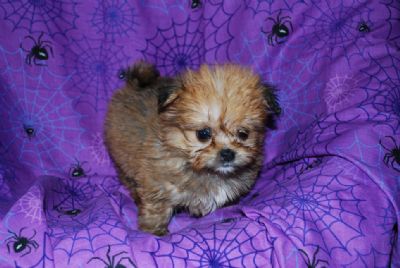 what a cutie......